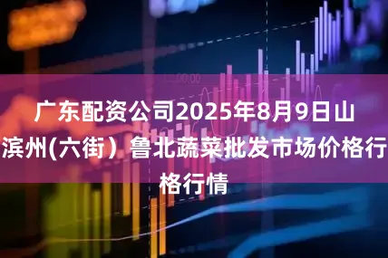 广东配资公司2025年8月9日山东滨州(六街）鲁北蔬菜批发市场价格行情
